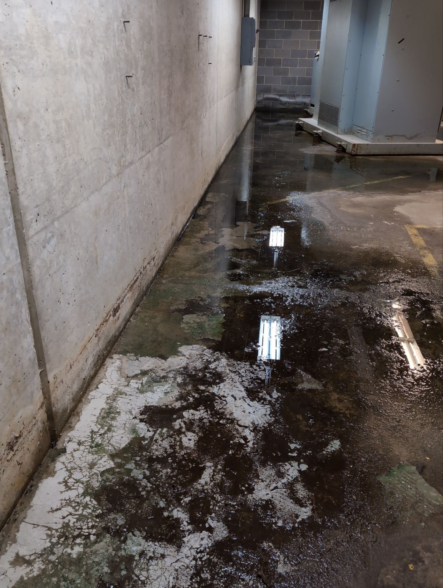Site Assessment - Water Intrusion